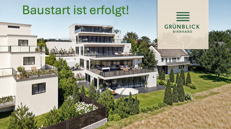 4.5 Zimmer Gartenwohnung mit Weitsicht Birrhard AG (11)