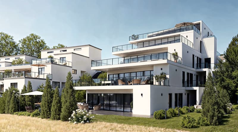 4.5 Zimmer Gartenwohnung mit Weitsicht Birrhard AG (3)