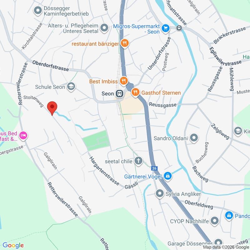 Neubau an attraktiver Hanglage 3.5 Gartenwohnung Seon (12)
