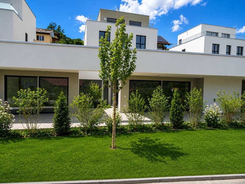 Erstbezug 4.5-Zimmer Terrassenhaus an ruhiger Lage Hilfikon (2)