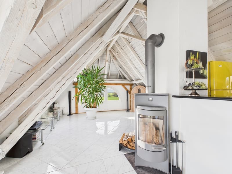 6.5-Zimmer Haus mit Swimmingpool in Seon AG (11)
