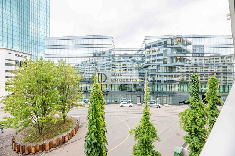 3.5-Zi.-Wohnung mit Loggia beim Maaghof mieten, Zürich (11)