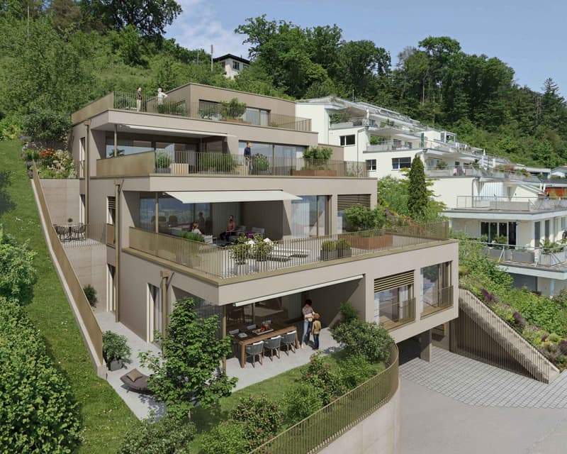 Neubau: Terrassenhäuser an bester Südhanglage in Erlinsbach (5)