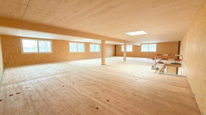 Sustainable High-End Raw Shell Boxes with Highway Connection - for Office, Workshop & more (2)
