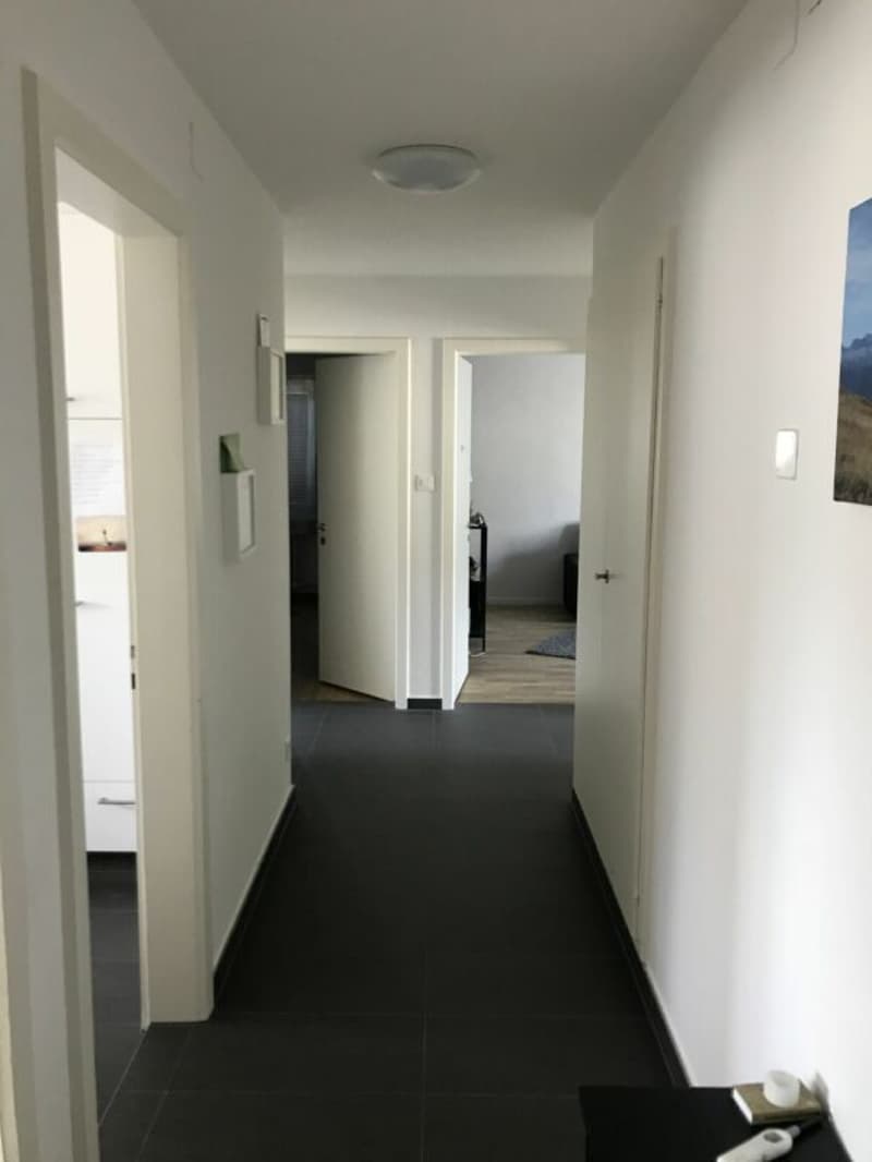 Frisch renovierte 4.0-Zimmerwohnung mit Balkon (5)