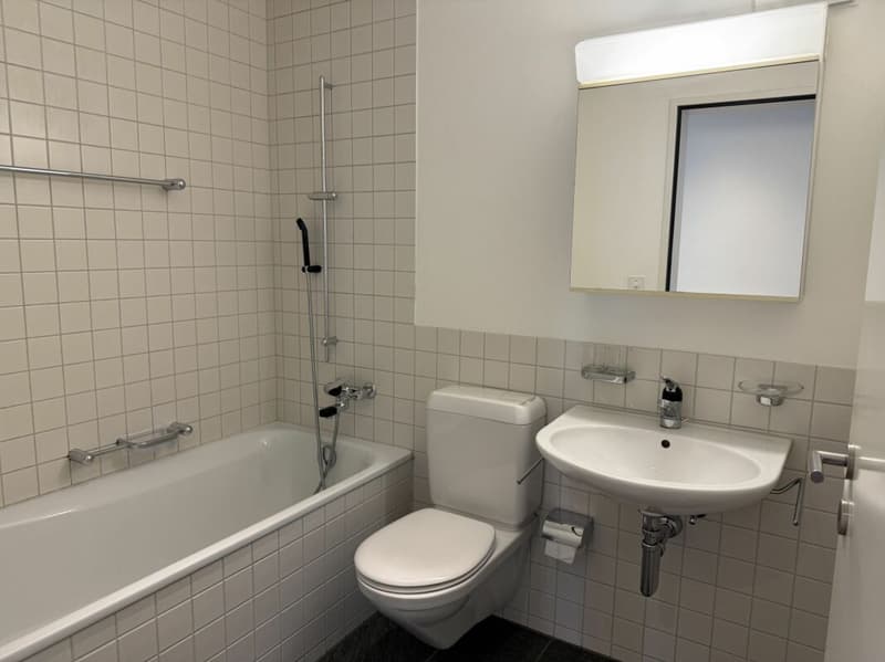 Helle und grosszügige 4.5-Zimmerwohnung an ruhiger Lage (4)