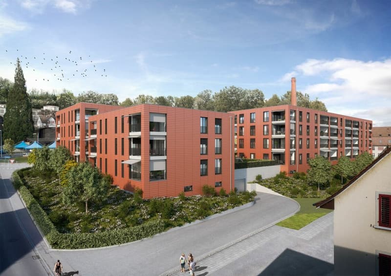 Attraktive und helle 3.5-Zimmerwohnung in Niedergösgen (1)