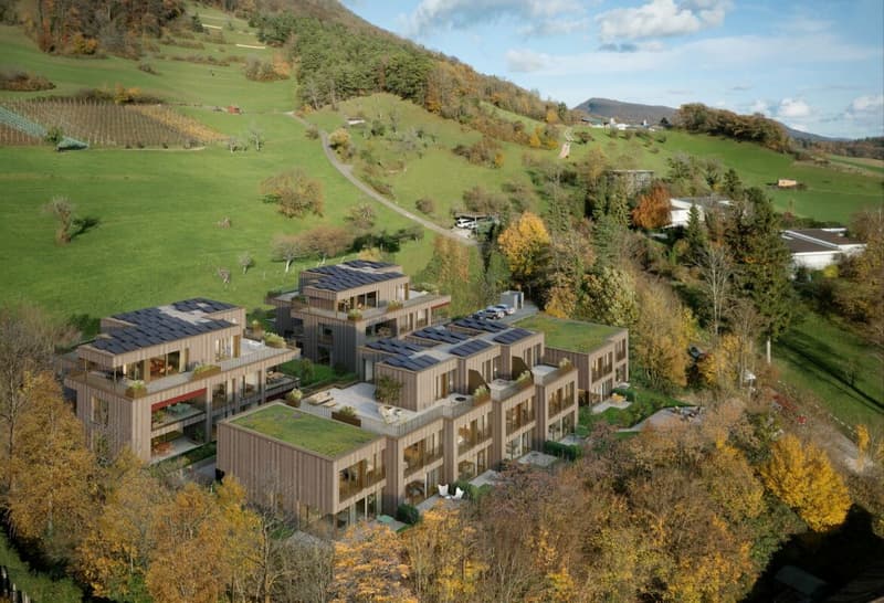 Hochwertige 4.5-Zimmerwohnung im Erstbezug (8)