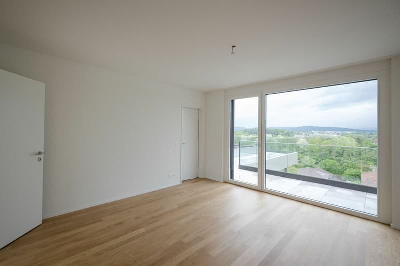 Exklusive Attikawohnung mit fantastischem Weitblick (7)