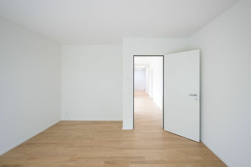 Exklusive Attikawohnung mit fantastischem Weitblick (9)
