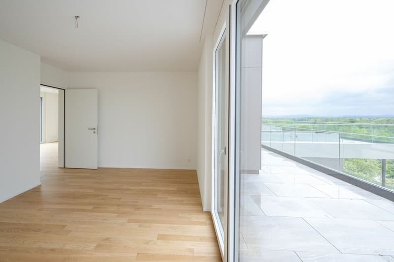 Exklusive Attikawohnung mit fantastischem Weitblick (6)