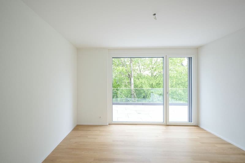 Exklusive Attikawohnung mit fantastischem Weitblick (10)
