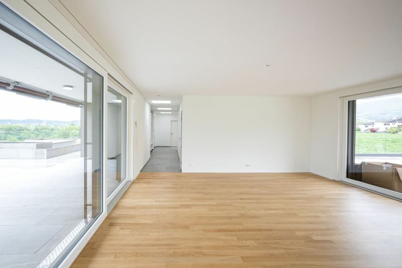 Exklusive Attikawohnung mit fantastischem Weitblick (3)