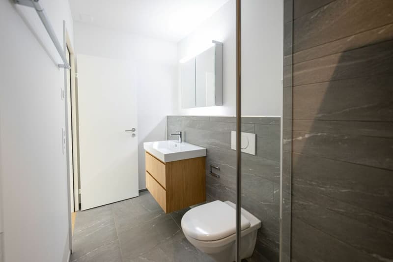 Moderne und naturverbundene 3.5-Zimmerwohnung (7)