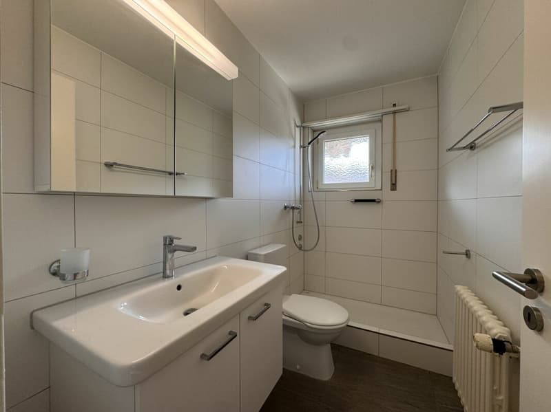 Attraktive 2.0-Zimmerwohnung in Schönenwerd (6)