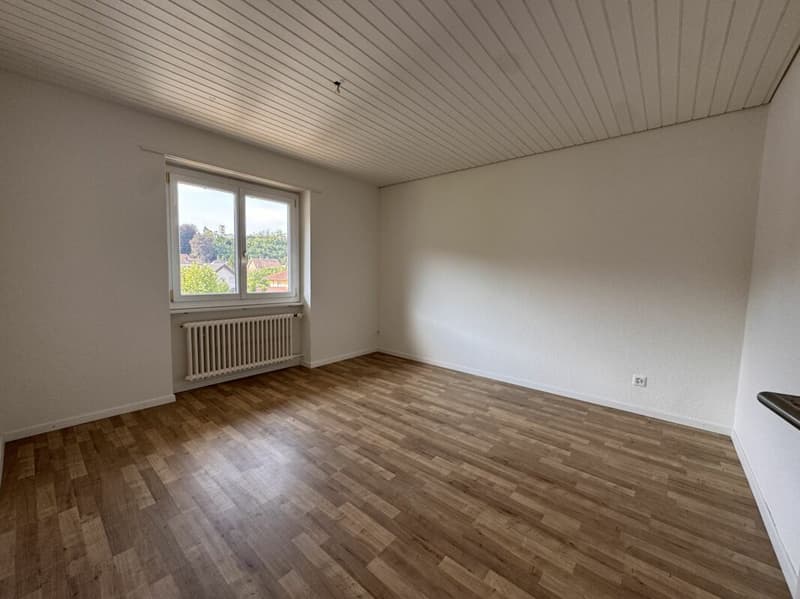 Attraktive 2.0-Zimmerwohnung in Schönenwerd (4)