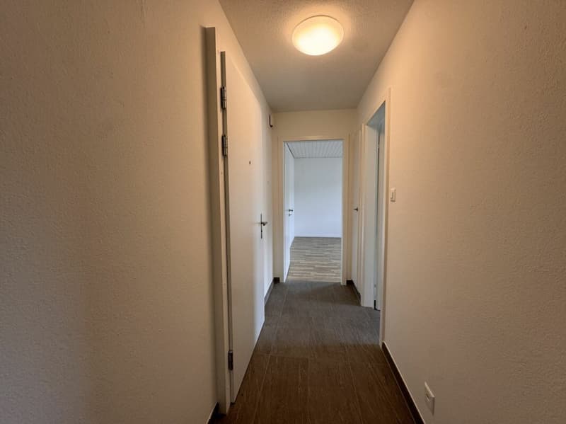 Attraktive 2.0-Zimmerwohnung in Schönenwerd (5)