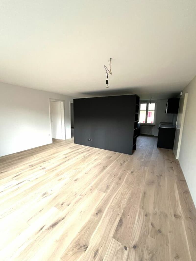 Attraktive 3.5-Zimmerwohnung im ruhigen Binzenhofquartier (4)