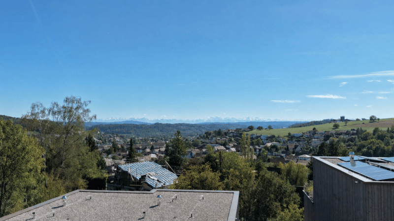Einzigartige Attikawohnung mit grosszügiger Terrasse und traumhafter Weitsicht (3)