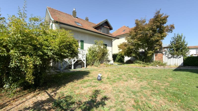 Einfamilienhaus in Buchs (4)