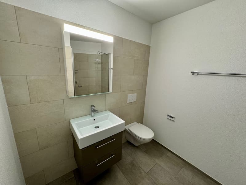 Moderne 3.5-Zimmer-Wohnung im Erdgeschoss (9)
