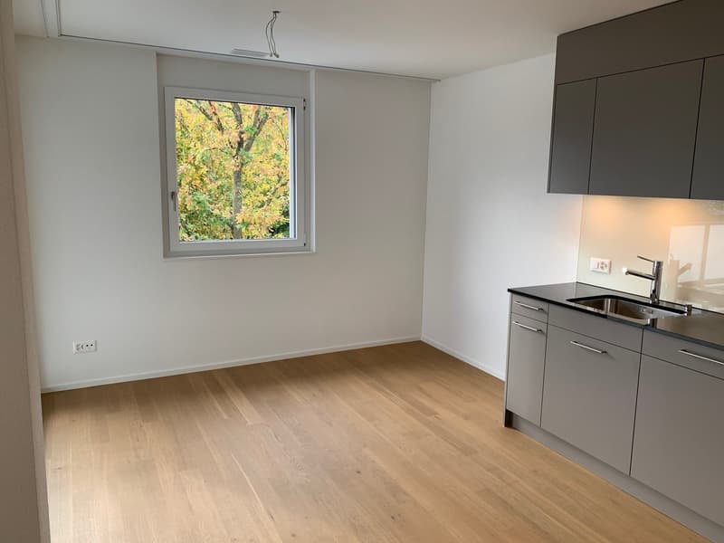 Moderne 3.5-Zimmer-Wohnung im Erdgeschoss (3)
