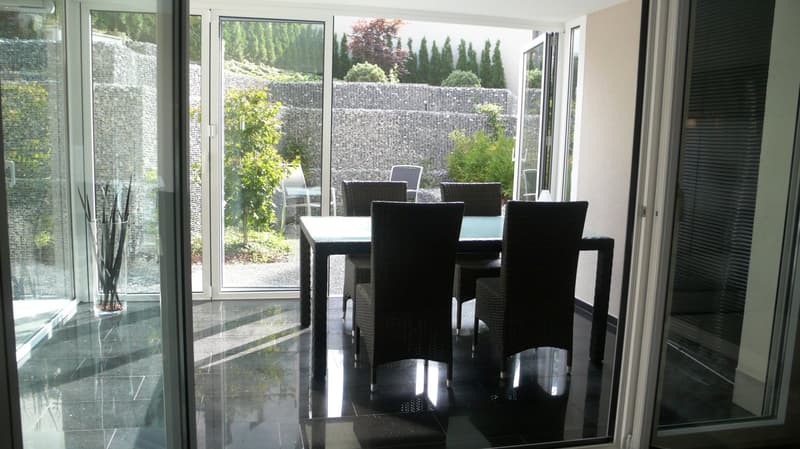 Glass wall opening to terrace, black chairs, glass table, decorative plant