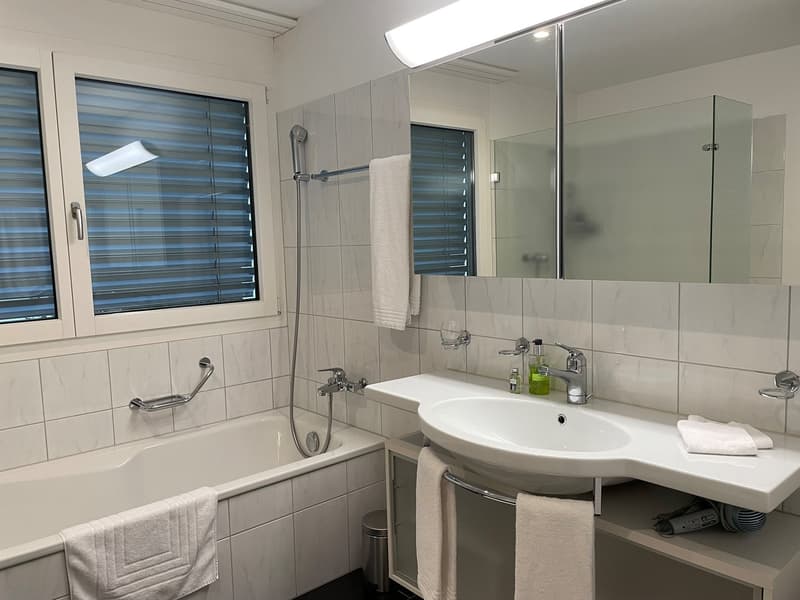 Spacious bathroom with tiled walls, large vanity sink, mirror cabinet, shower/bathtub, and towel rack. The bathroom also features a private washing machine and a dishwasher.