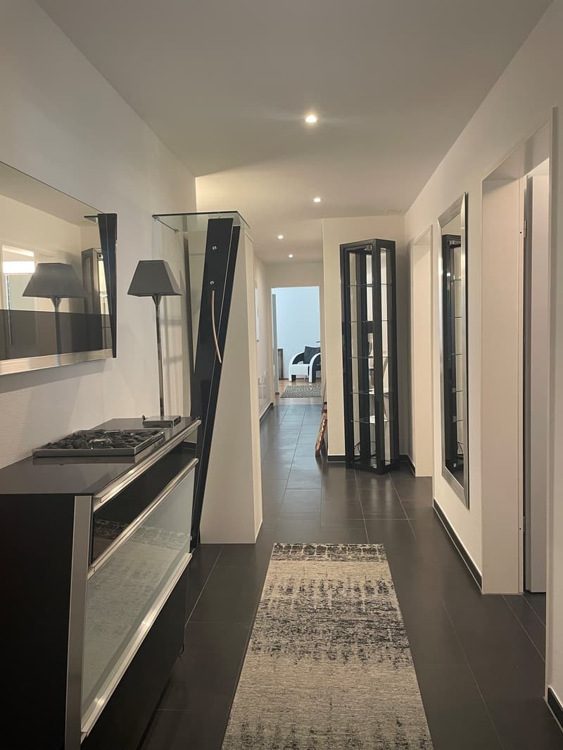 Spacious hallway with modern decor, including a built-in dishwasher, black and white lamps, and glass display cabinets. The hallway leads to other rooms in the home.