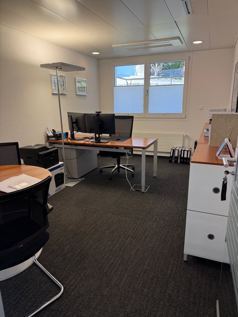 An office with a desk, two monitors, a chair, a printer, a lamp, a cabinet, and a window.
