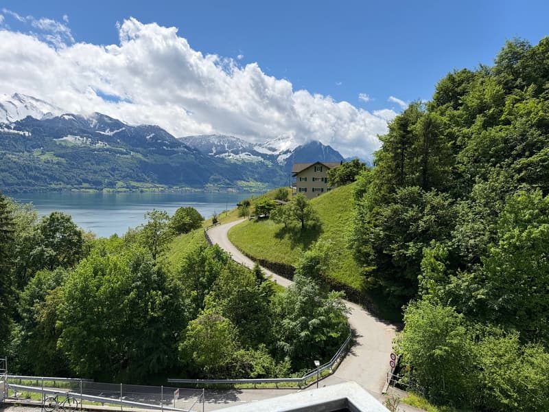 Charmante 1-Zimmerwohnung mit Seeblick in Gersau (10)