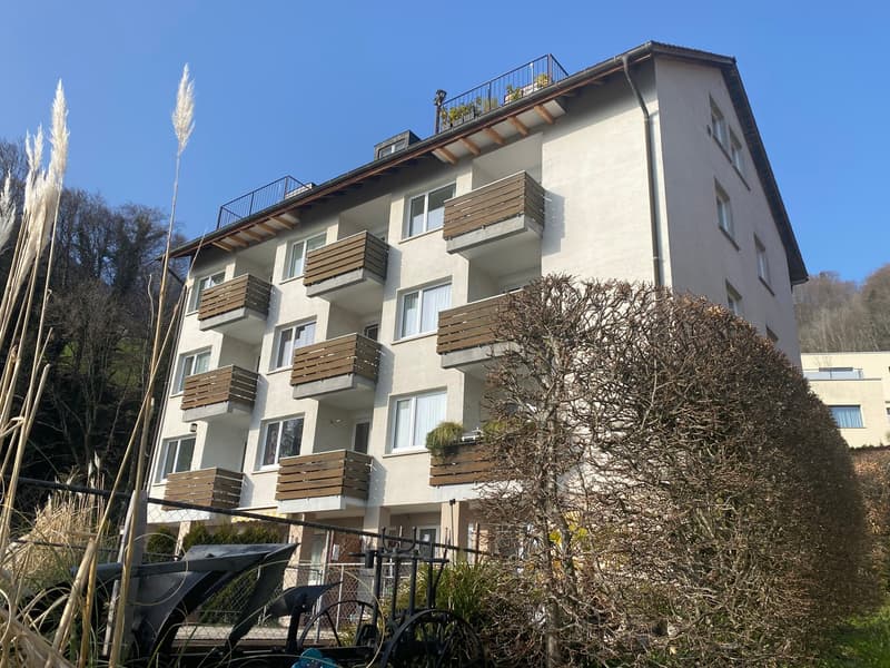Charmante 1-Zimmerwohnung mit Seeblick in Gersau (3)