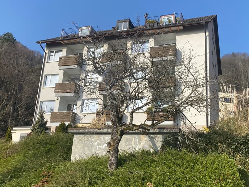 Charmante 1-Zimmerwohnung mit Seeblick in Gersau (2)
