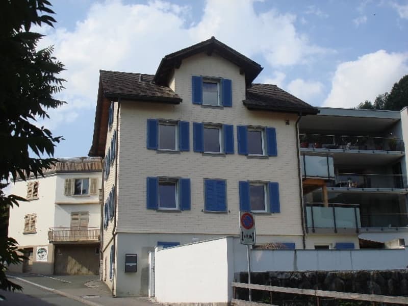 Charmante 4.5-Zimmer-Duplexwohnung an zentraler Lage in Schwyz (3)