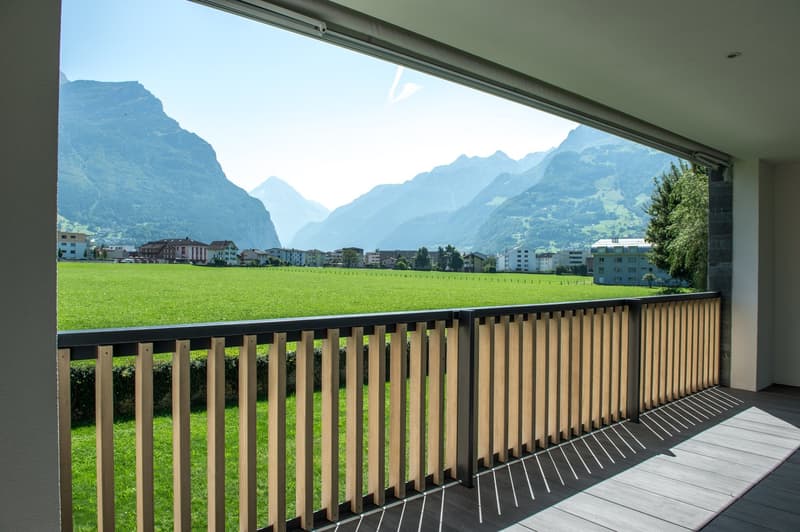 Hochwertige und helle 4.5-Zimmerwohnung an bester Lage (4)
