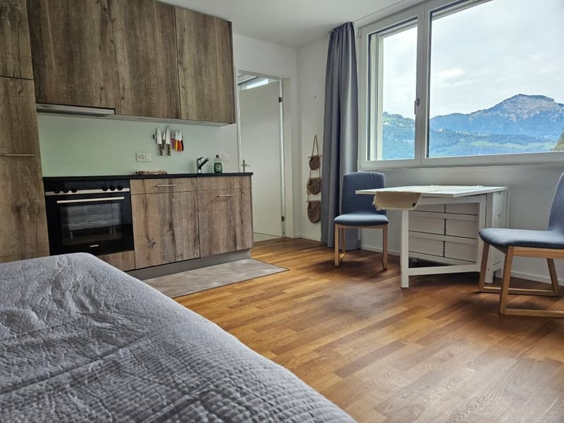 Charmantes Studio mit Panoramablick in Sisikon (2)