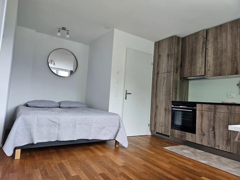 Charmantes Studio mit Panoramablick in Sisikon (3)