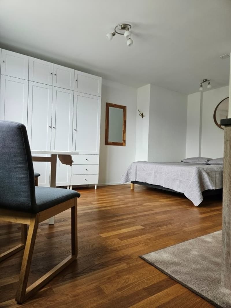 Charmantes Studio mit Panoramablick in Sisikon (4)