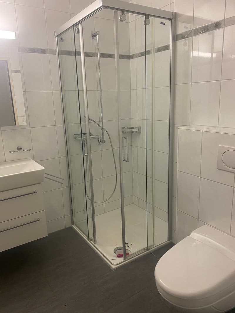 Tiled walls, glass walk-in shower, white sink, white toilet