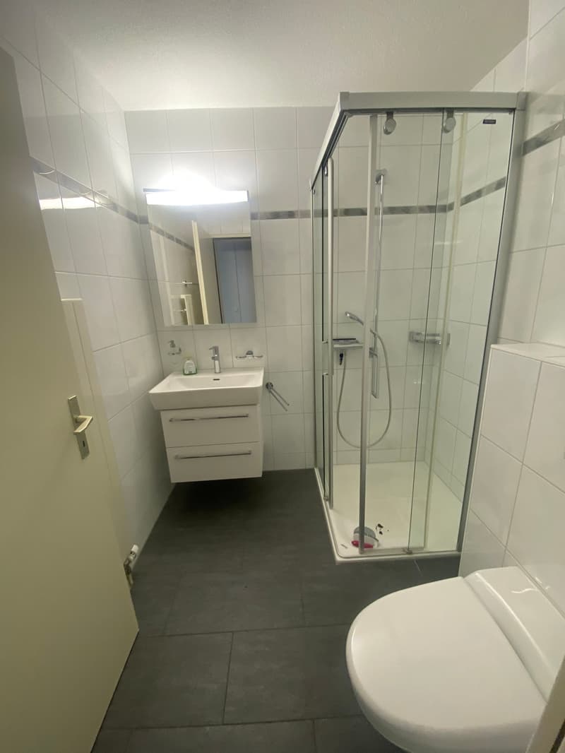 tiled shower, white sink, silver faucet, white wall, white toilet, mirror, shower head