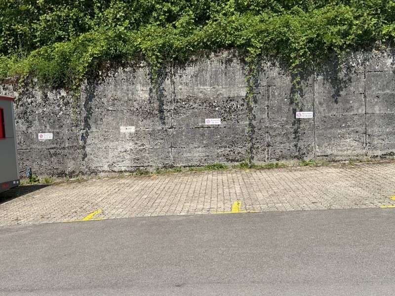Aussenparkplätze - ideal für Zweitautos wie saisonale Fahrzeuge (2)