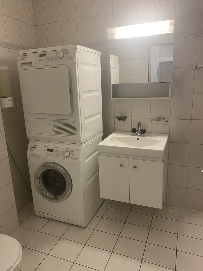 5.5-Zimmerwohnung mit Wintergarten in Flüelen (13)