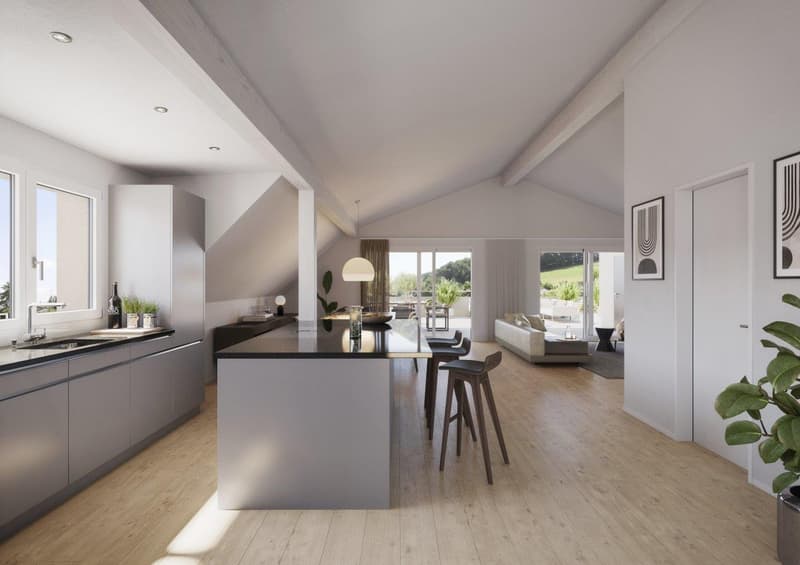 Letzte, einzigartige Dachwohnung auf einer Etage mit direktem Liftzugang "am Gerenbach" (2)