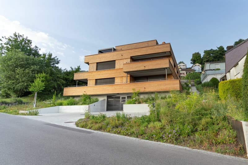 Appartement en copropriété neuf avec certificat Minergie (5)