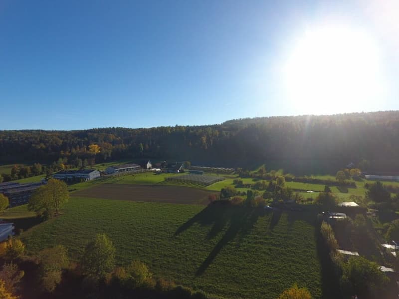 RESERVIERT - Familienfreundliches Reihenmittelhaus in Zürich-Schwamendingen (6)