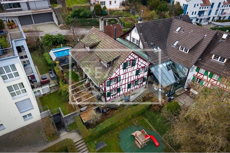 Einzigartiges 7-Zimmer-EFH mit hochwertigem Innenausbau in Horgen zu kaufen! (3)