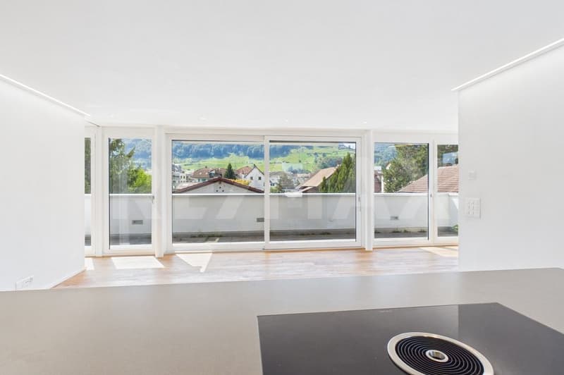 Moderne 3.5-Zimmer Attikawohnung an zentraler Lage zu mieten! (4)