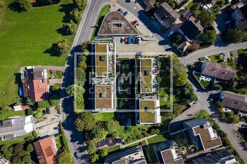 Edle 4.5-Zimmer-Wohnung in Richterswil zu kaufen! - Exklusives Wohnen im Industrial Style (9)