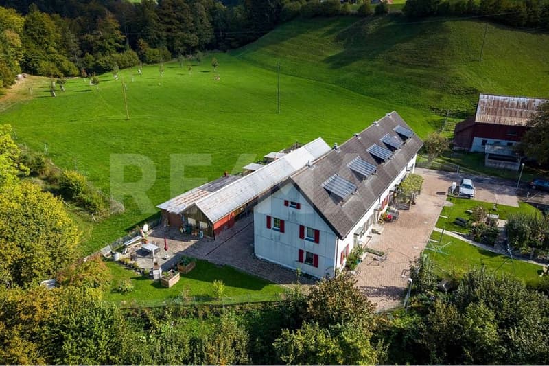 Naturnah wohnen mit Raum für eigene Ideen! 5.5-Zimmer-Reiheneinfamilienhaus in Vorderthal SZ (1)