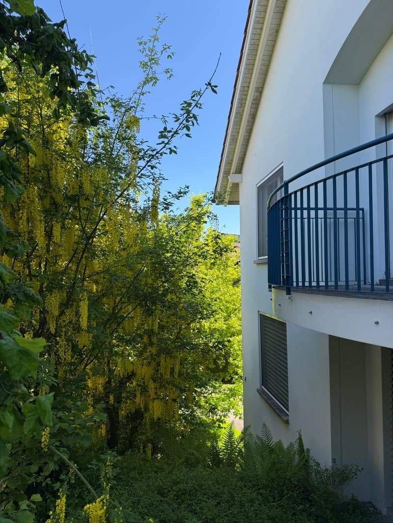 Geräumiges 8-Zimmer-Einfamilienhaus an ruhiger Lage in Edlibach/Menzingen (10)